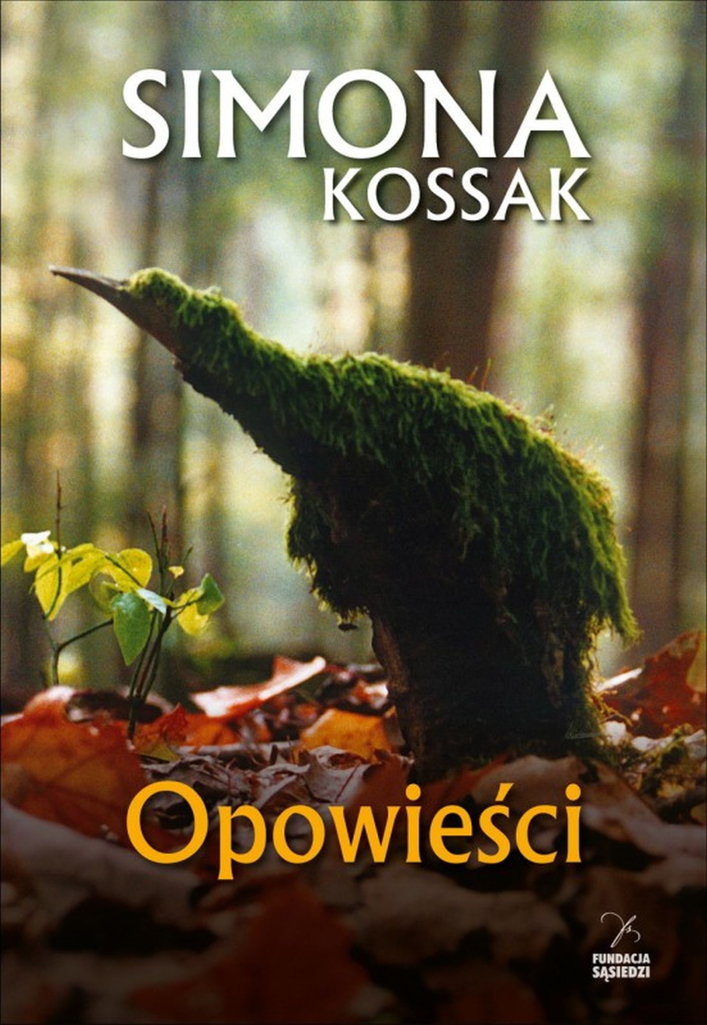 Opowieści (e-book)