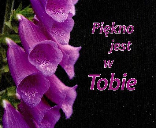 Piękno jest w tobie perełki