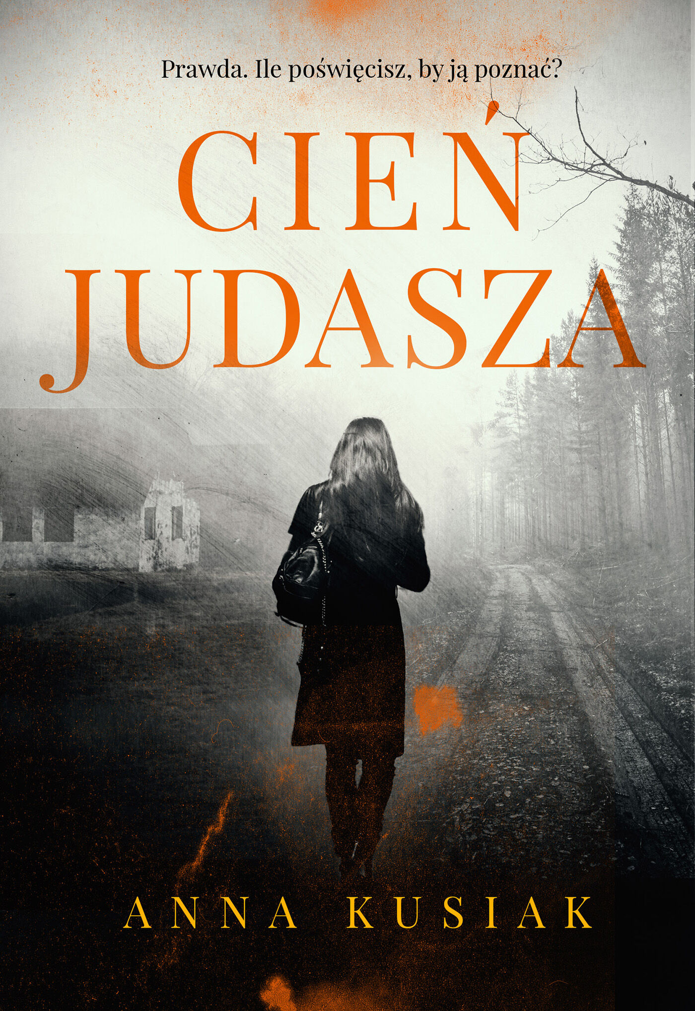 Cień judasza (e-book)