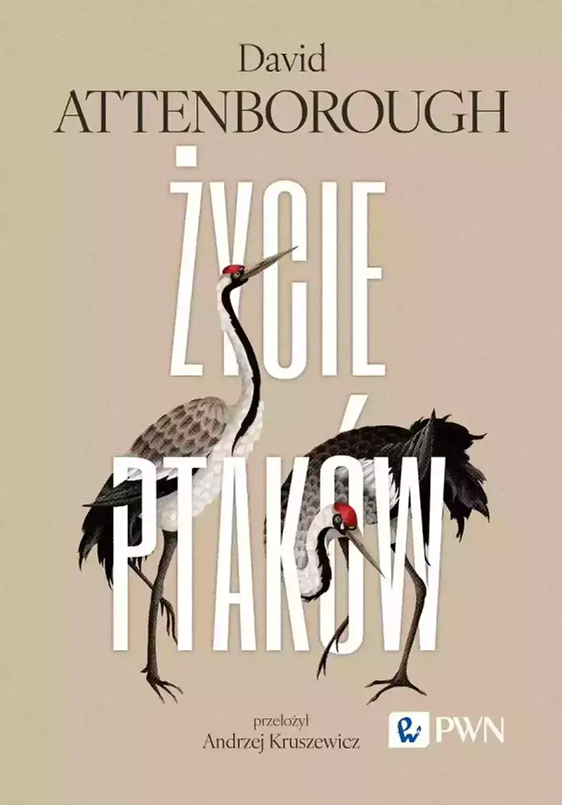 Życie ptaków