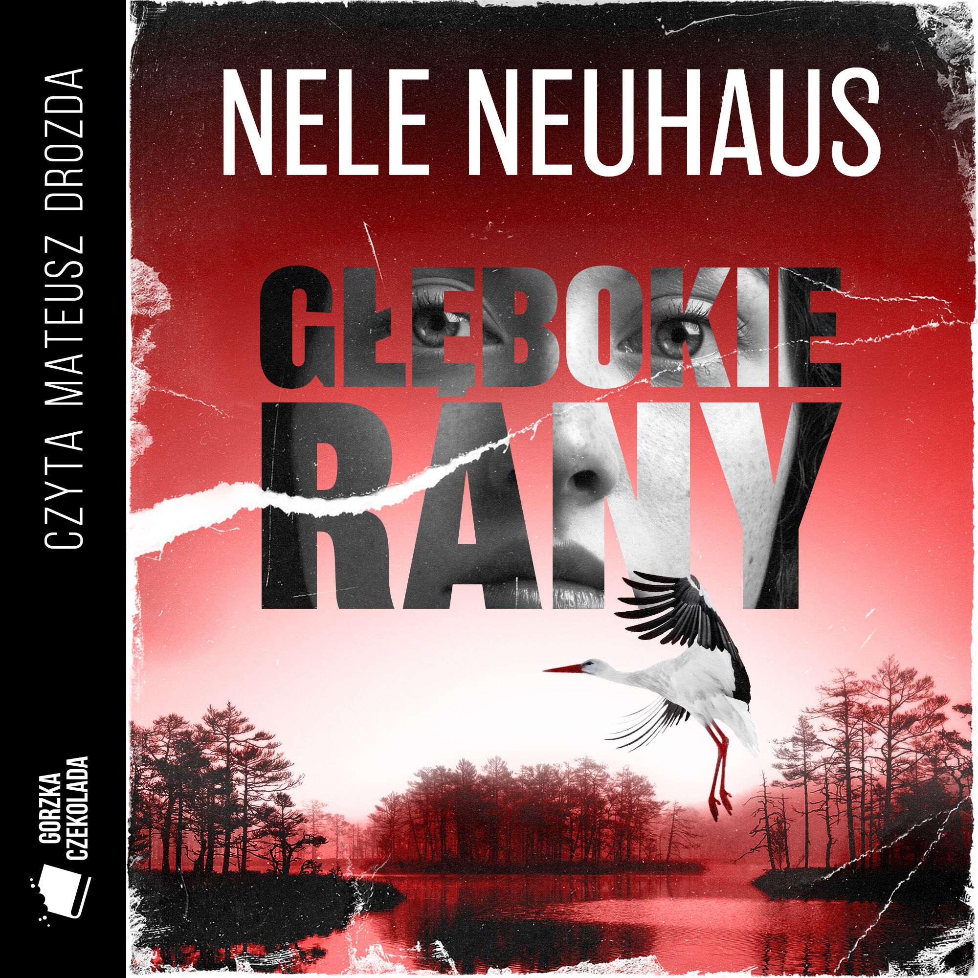 Głębokie rany (audiobook MP3)