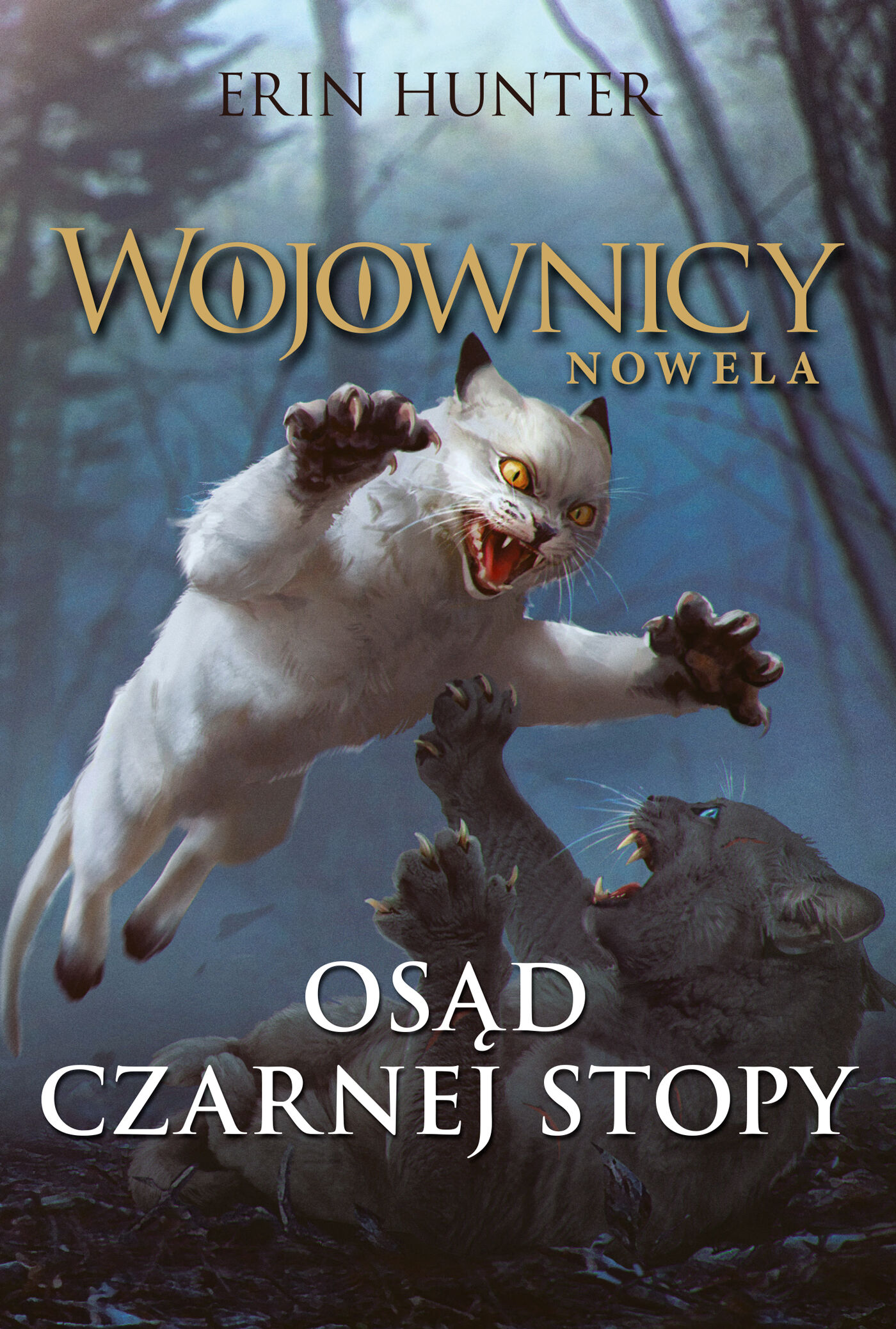 Osąd Czarnej Stopy (e-book)