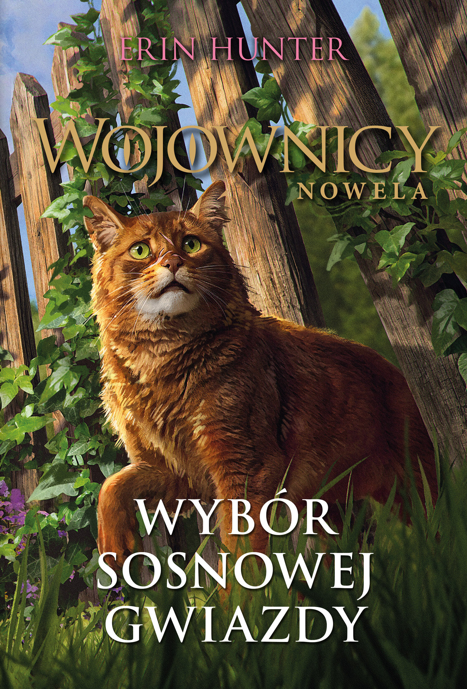 Wybór Sosnowej Gwiazdy (e-book)