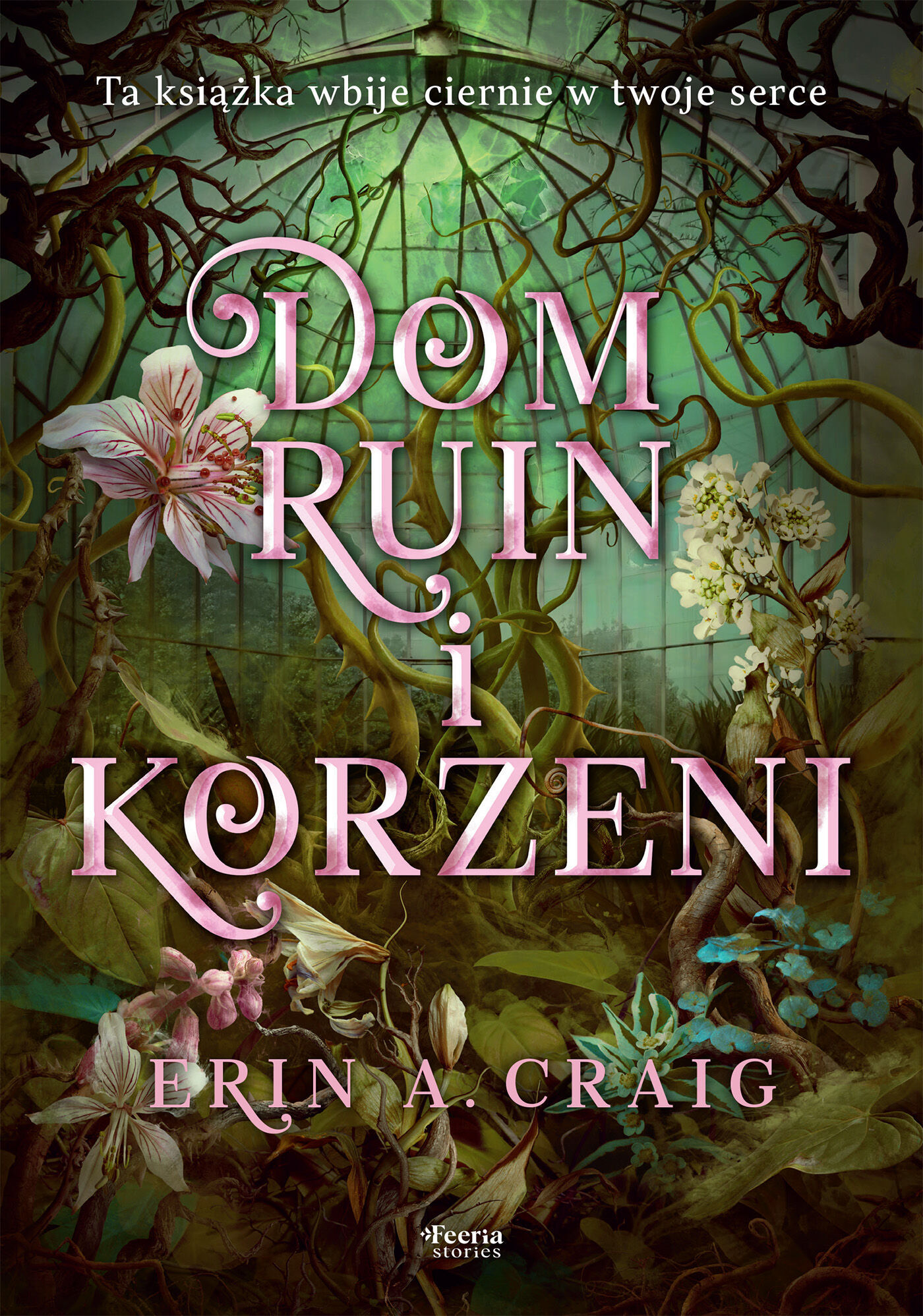 Dom ruin i korzeni (e-book)