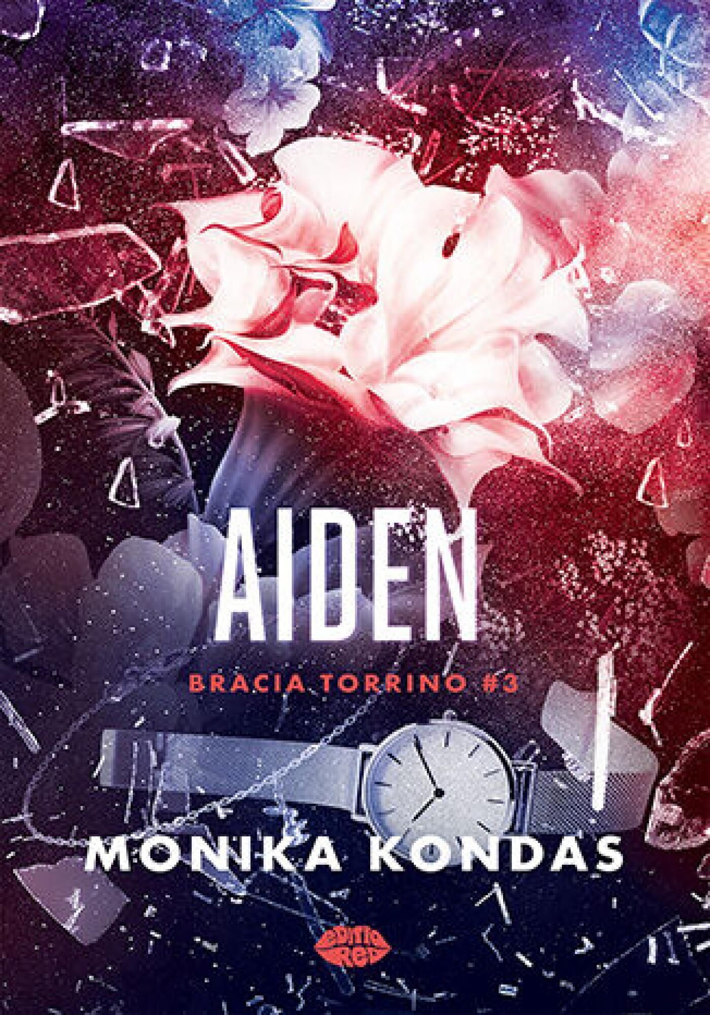 Aiden. #3. Bracia Torrino (e-book)