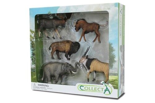Collecta Zestaw 5 dzikich zwierząt