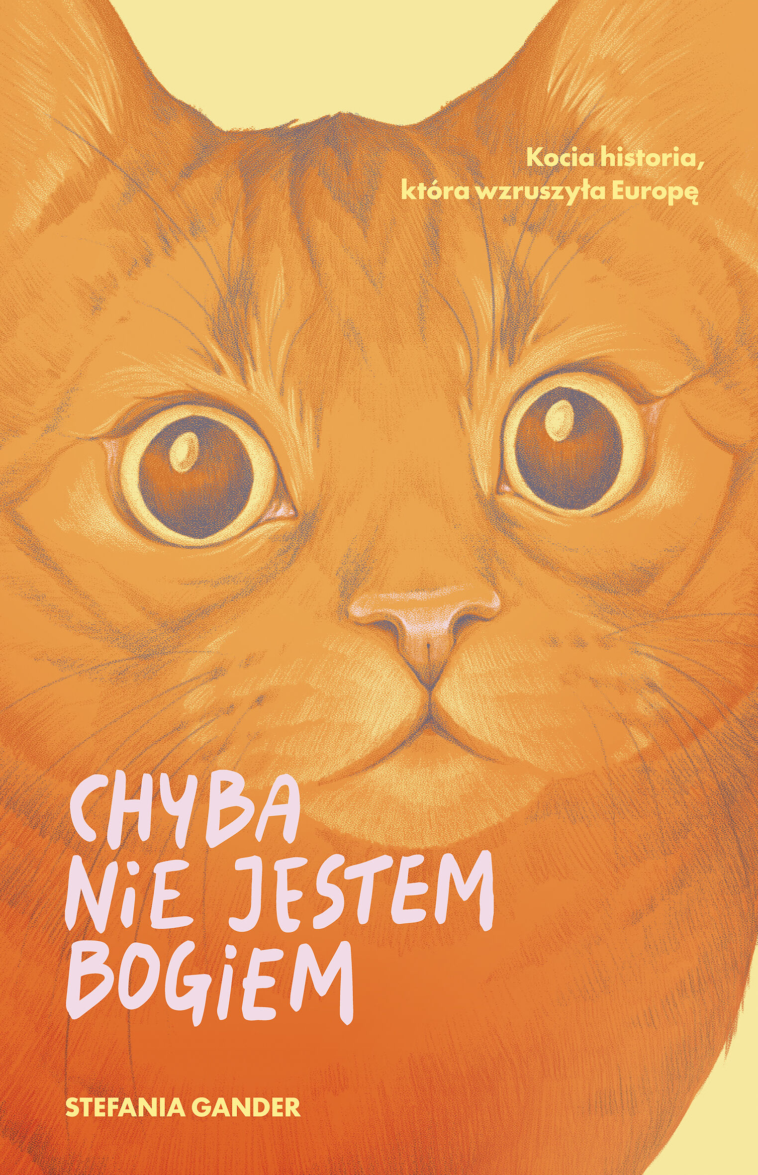 Chyba nie jestem Bogiem (e-book)