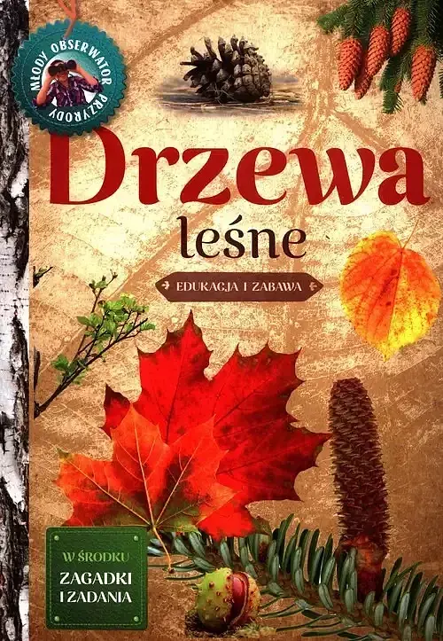 Młody obserwator przyrody. Drzewa leśne