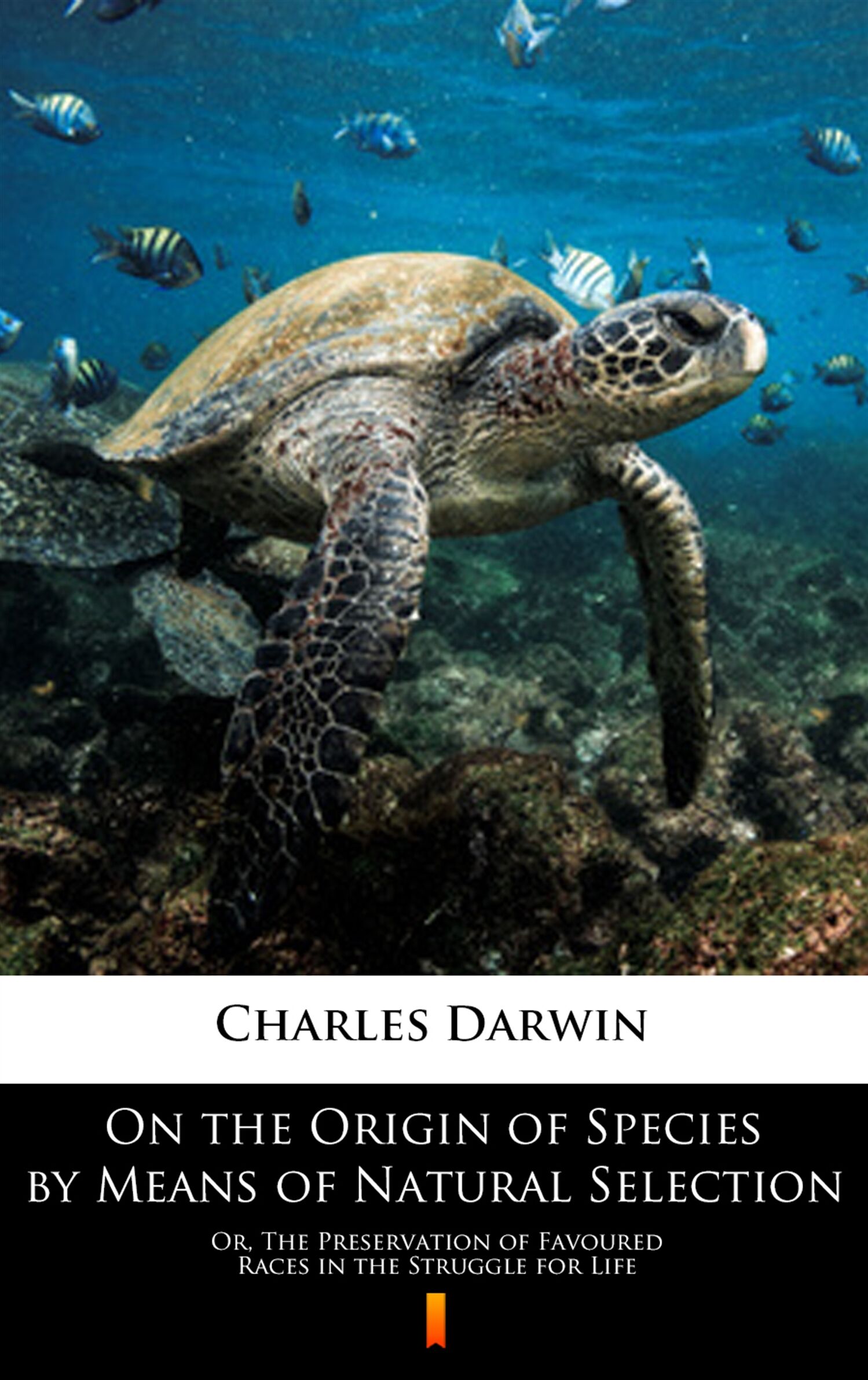 On the Origin of Species by Means of Natural Selection (e-book)