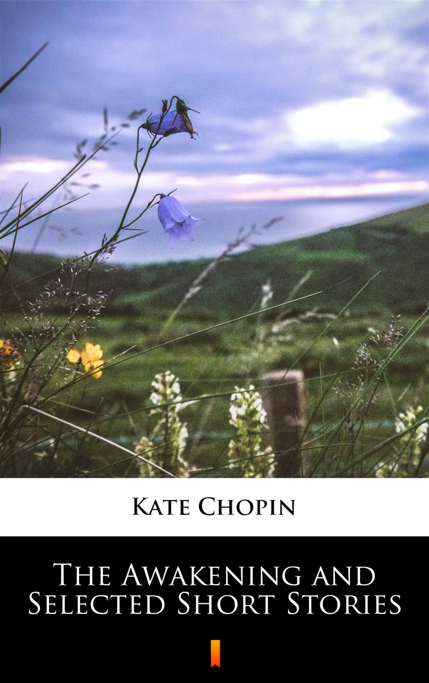 The Awakening and Selected Short Stories (e-book)