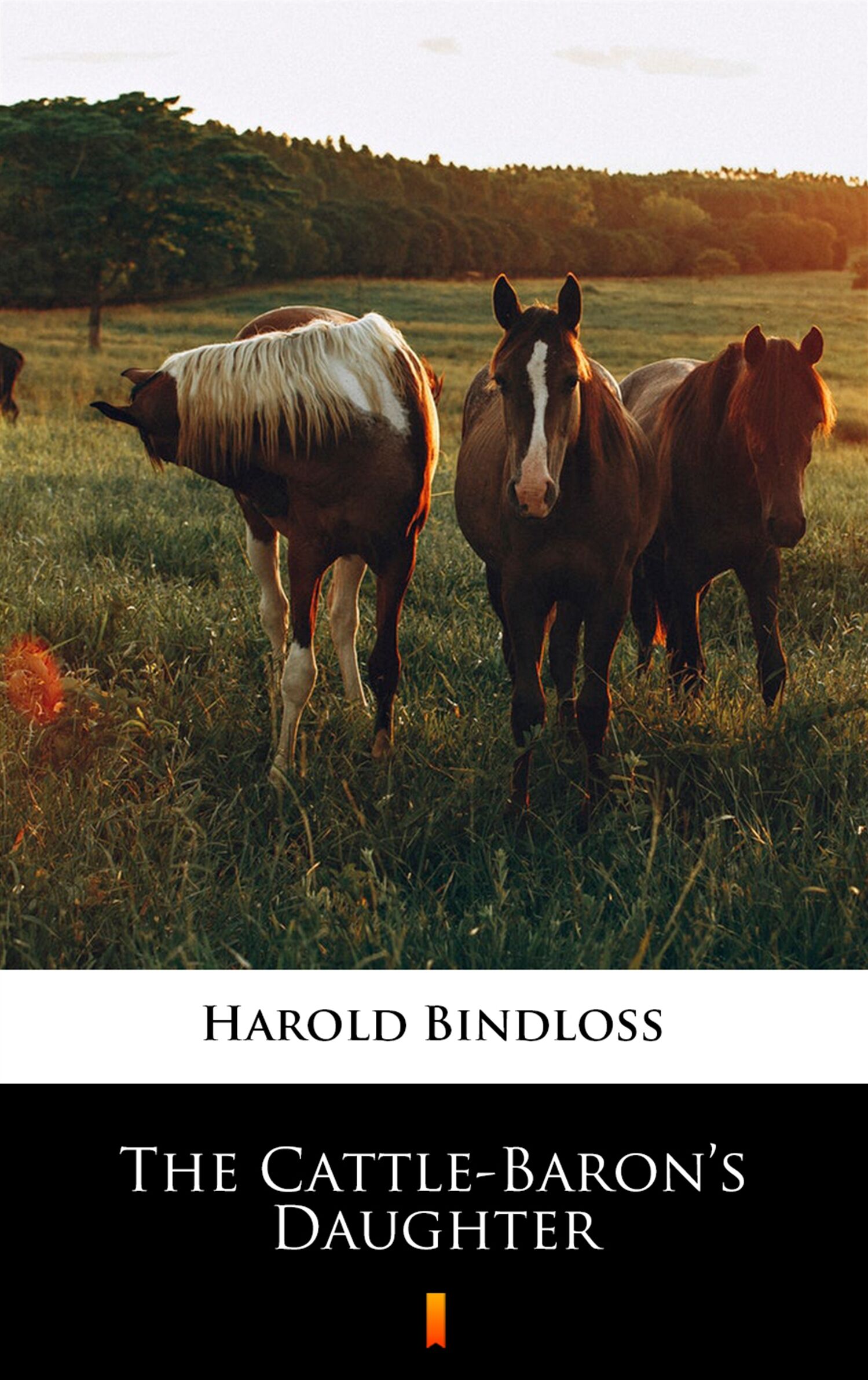 The Cattle-Baron’s Daughter (e-book)