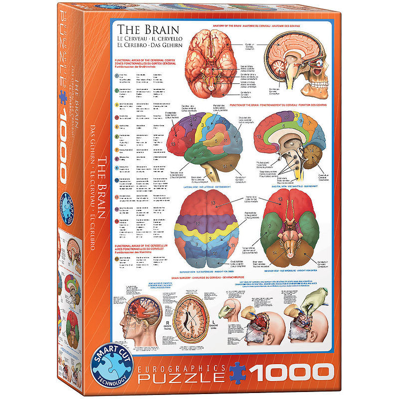 Puzzle 1000 the brain 6000-0256