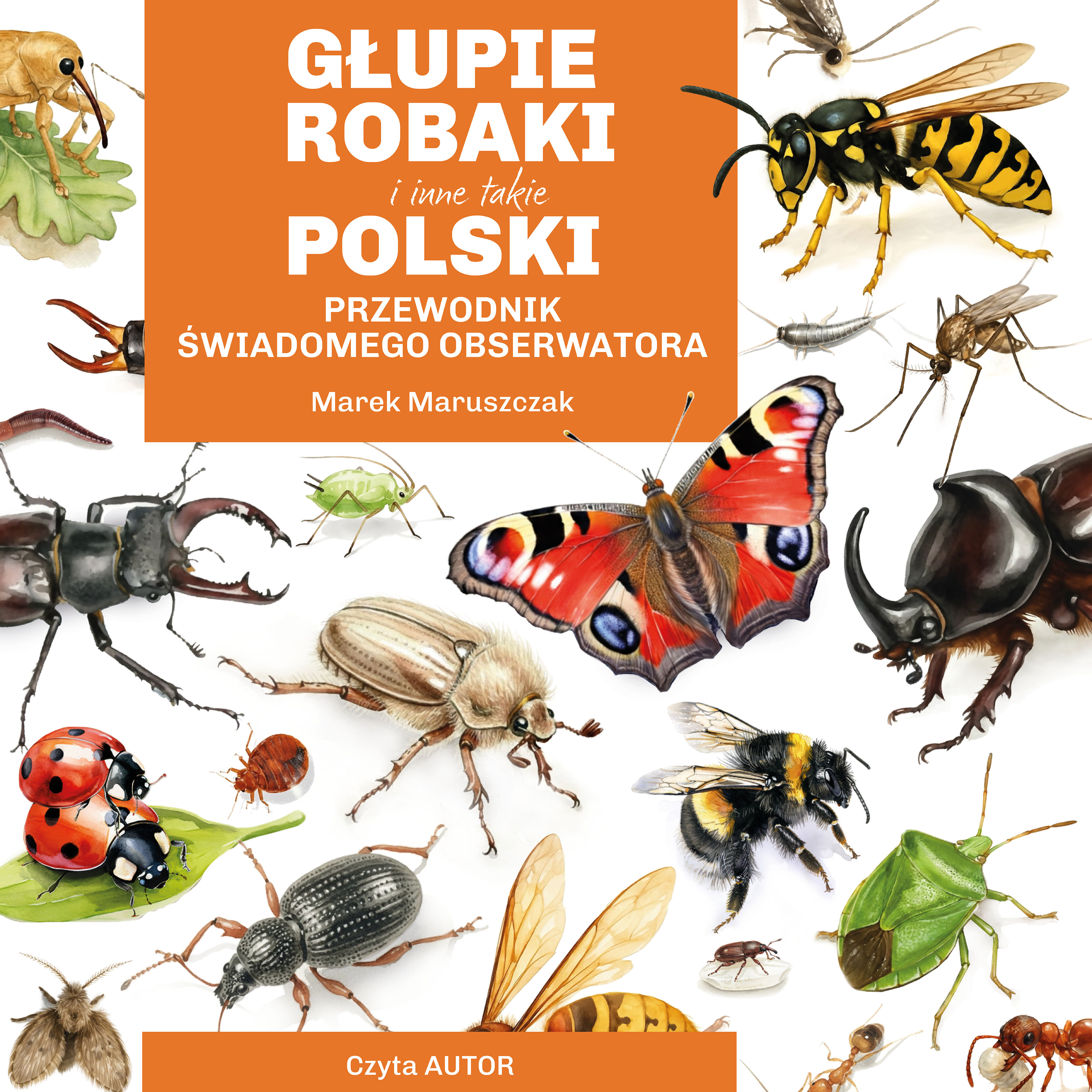 Głupie robaki i inne takie Polski (audiobook MP3)