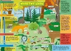 Podkładka dwustronna na biurko b3 warstwy lasu i łąka