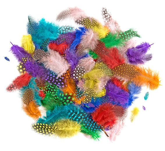 Piórka bażanta 4-7 cm 10g Brights