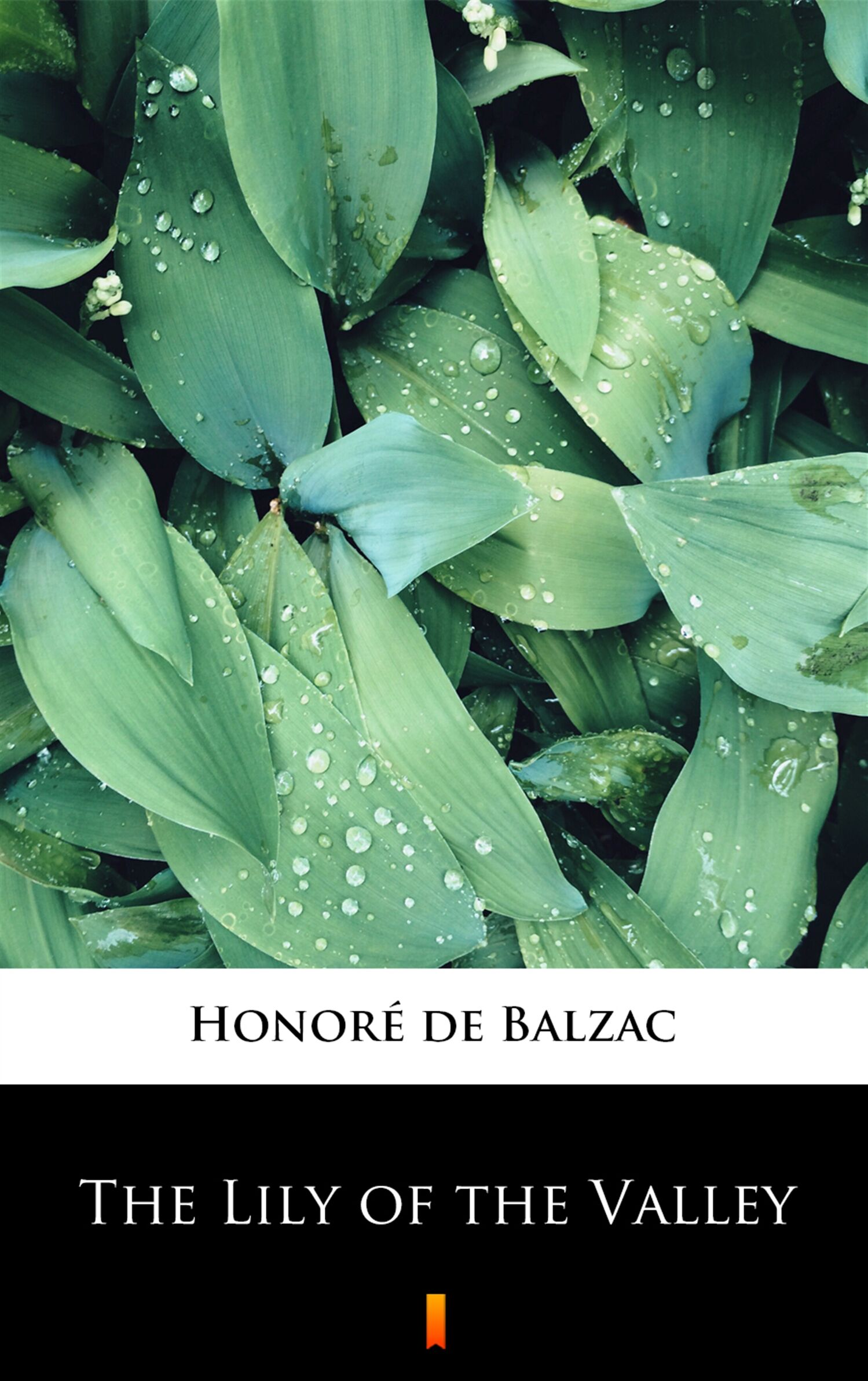 The Lily of the Valley (e-book)
