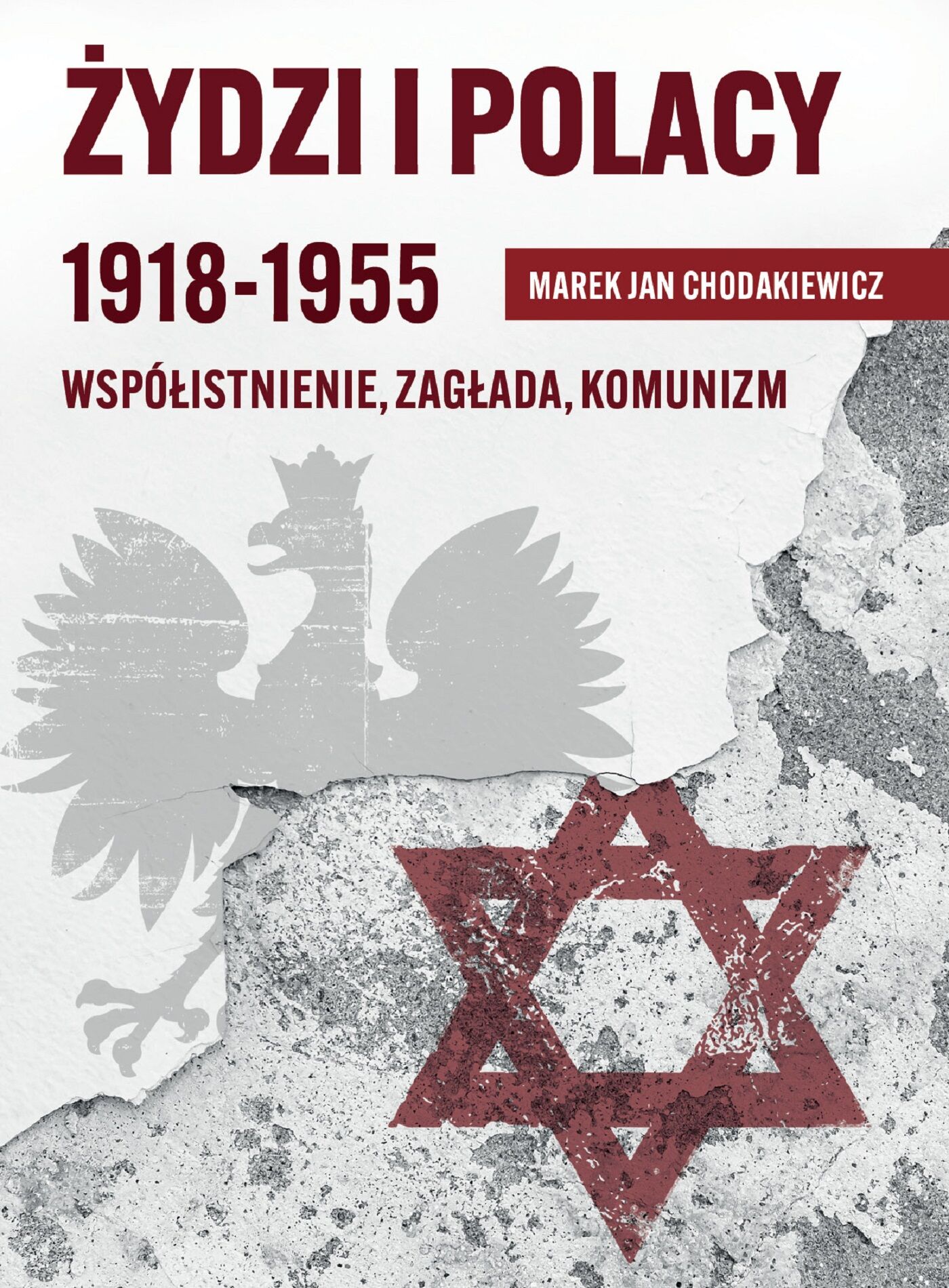 Żydzi i Polacy 1918-1955 (e-book)