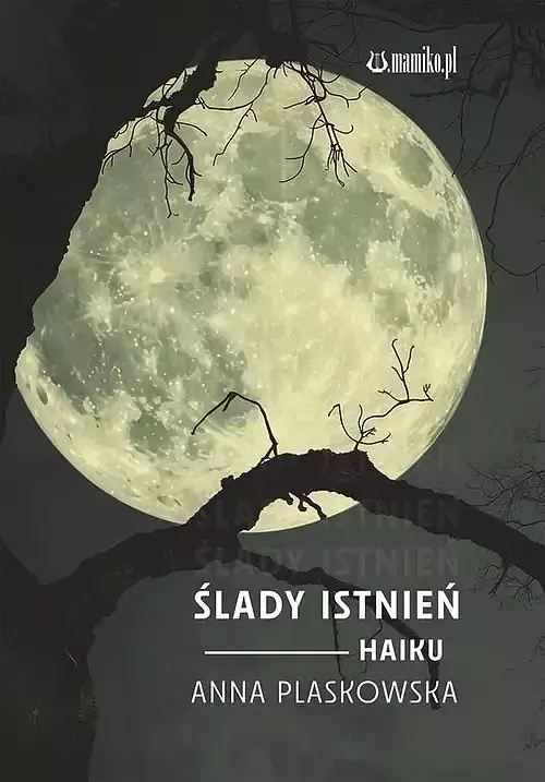 Ślady istnień Haiku