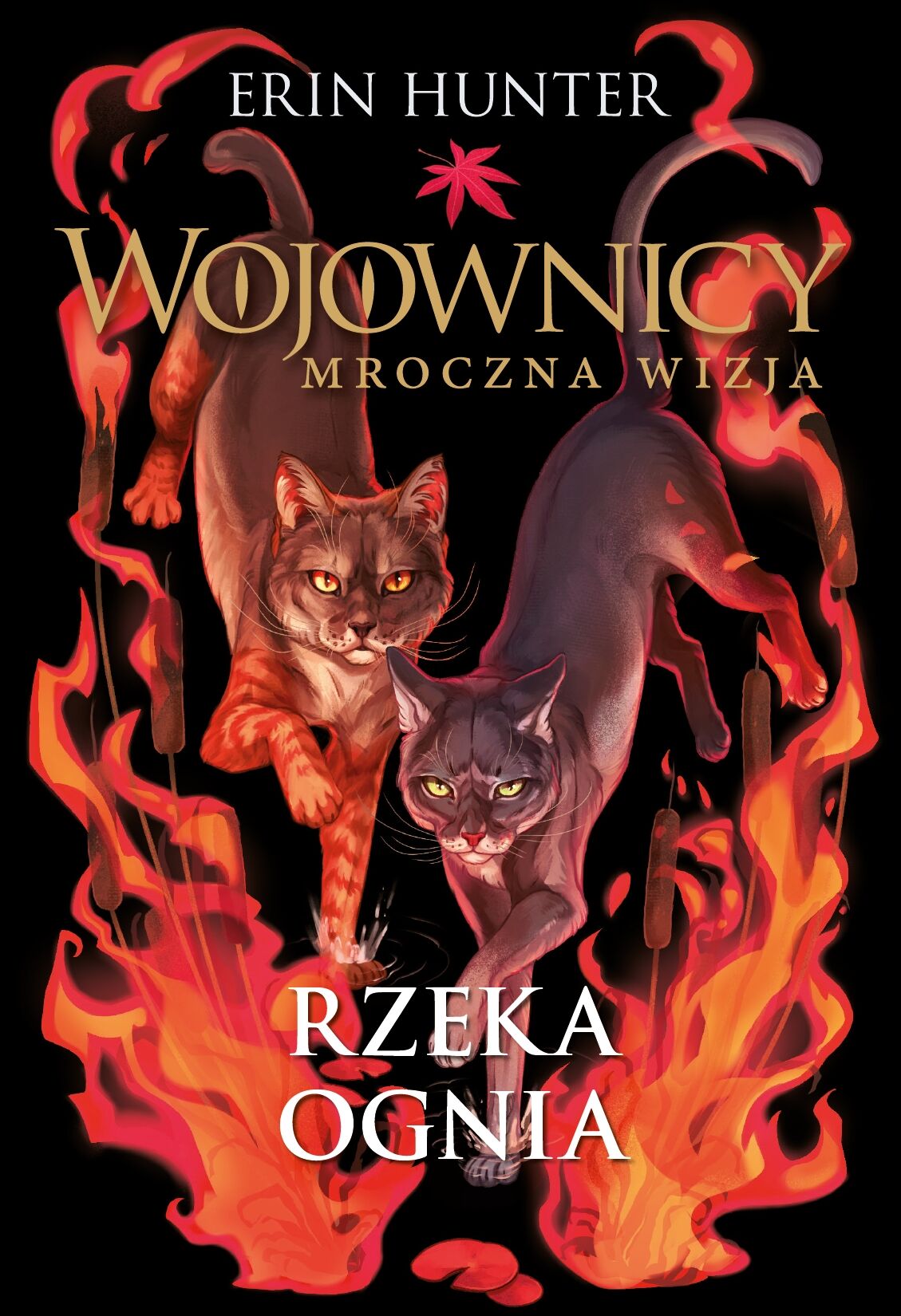 Rzeka ognia (e-book)