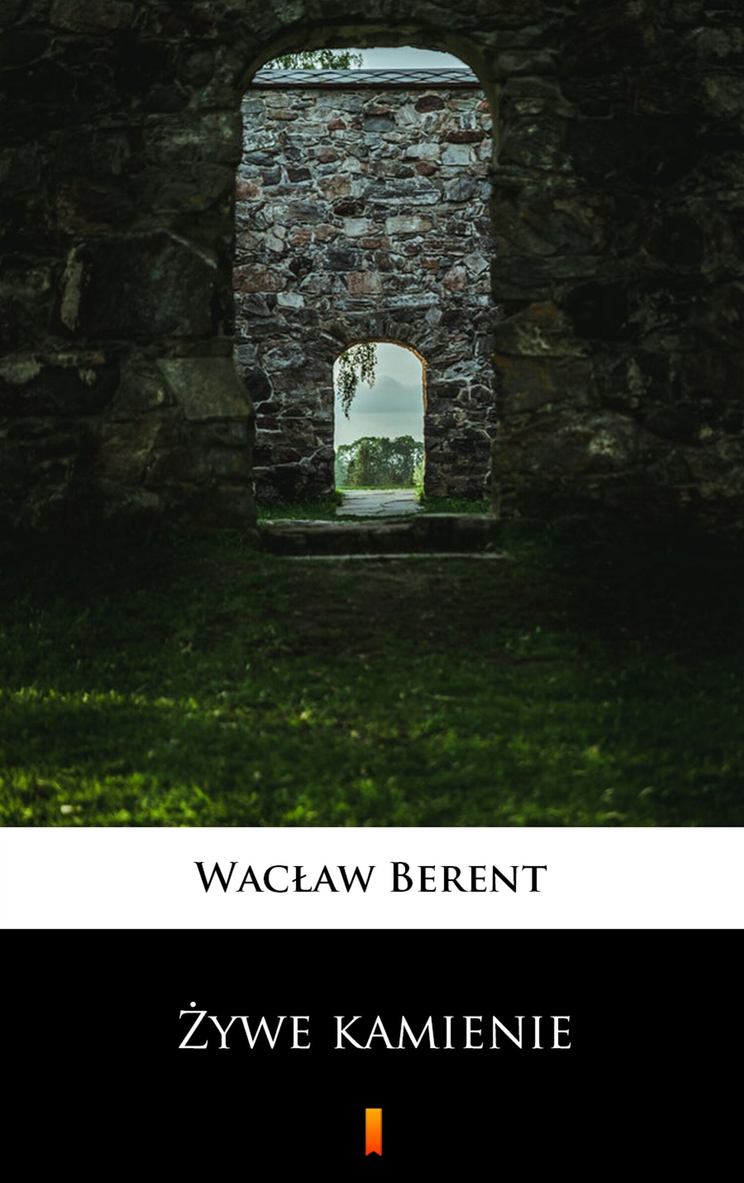 Żywe kamienie (e-book)