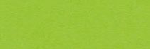 Brystol kolorowy happy color 170g a4 25 arkuszy jasnozielony