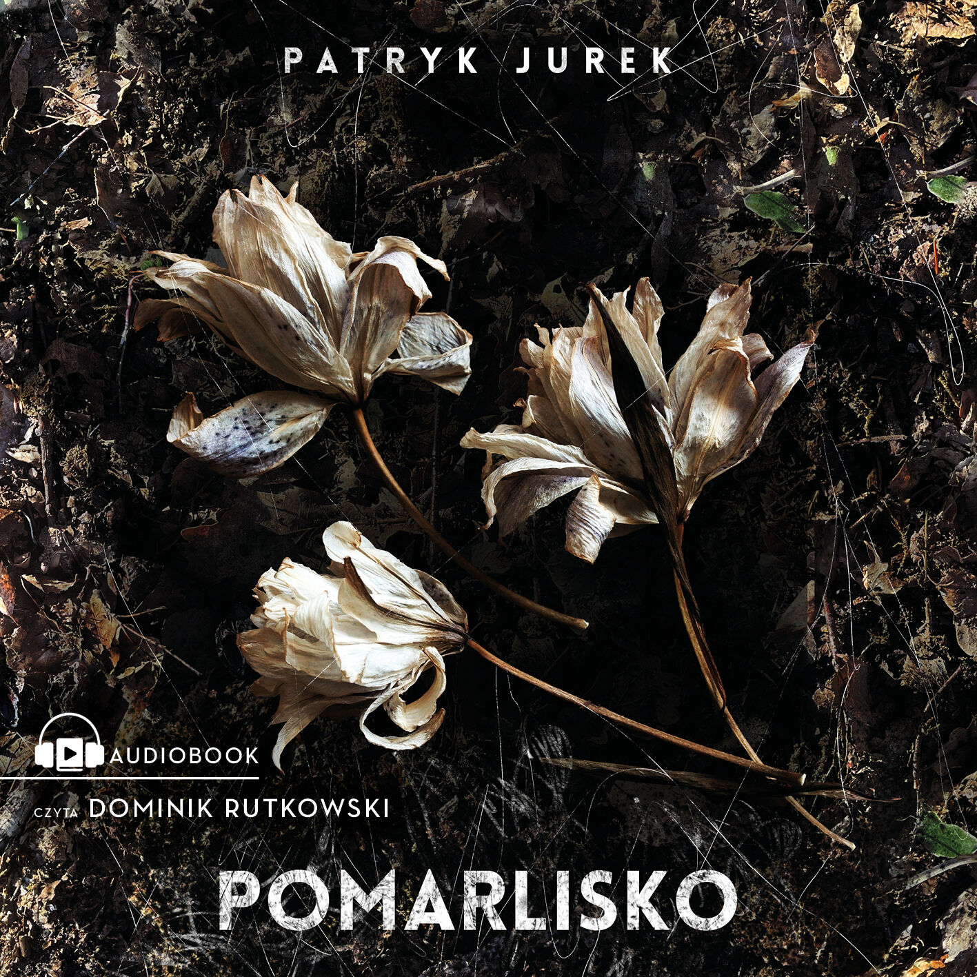 Pomarlisko (audiobook MP3)