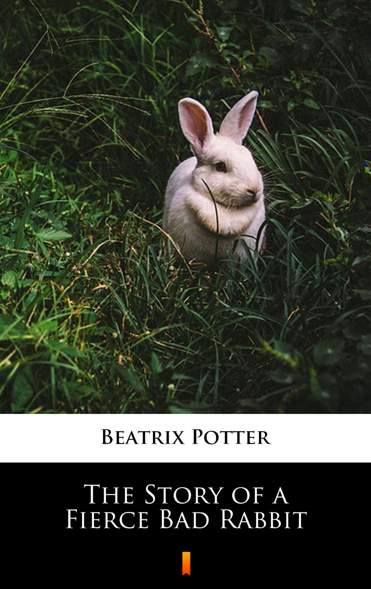 The Story of a Fierce Bad Rabbit (e-book)