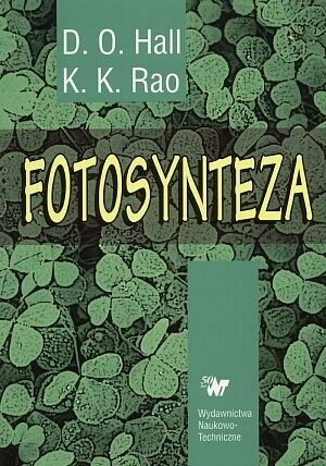Fotosynteza