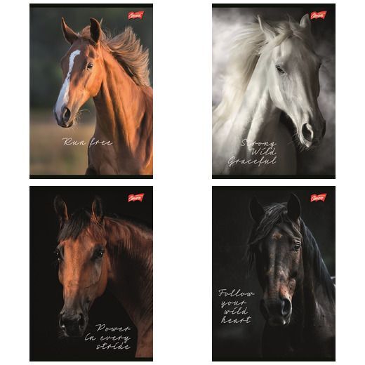 Paczka Zeszyt A5 60k.krata okładka laminowana Wild Heart mix 10 sztuk