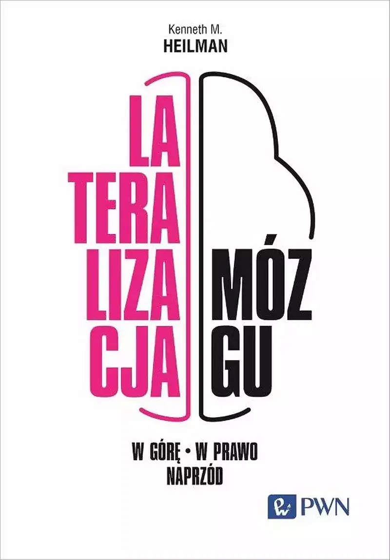 Lateralizacja mózgu. W górę – w prawo - naprzód