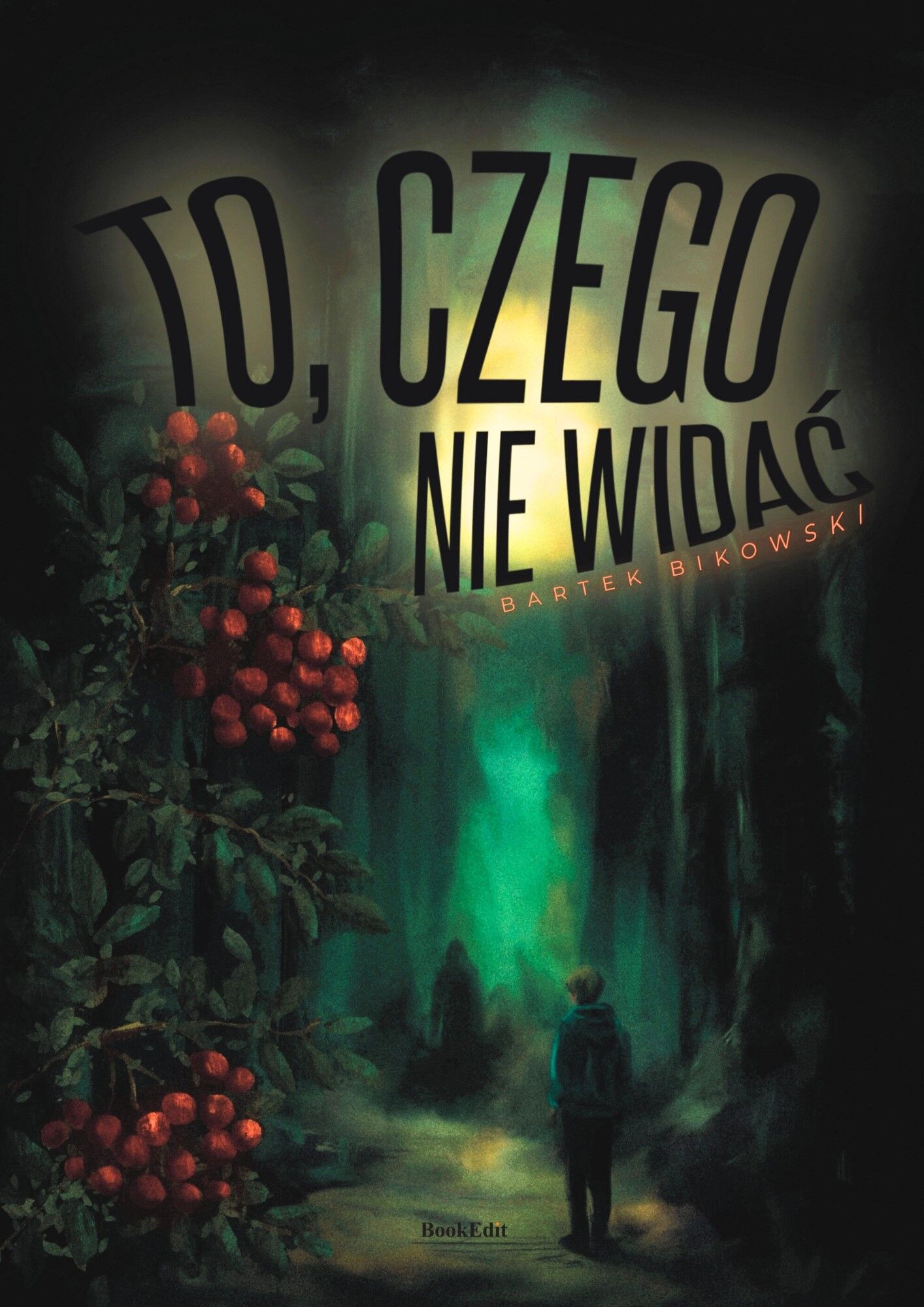 To, czego nie widać