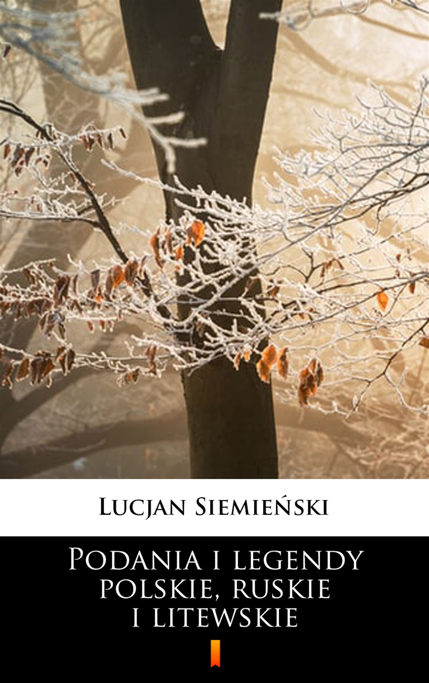 Podania i legendy polskie, ruskie i litewskie (e-book)