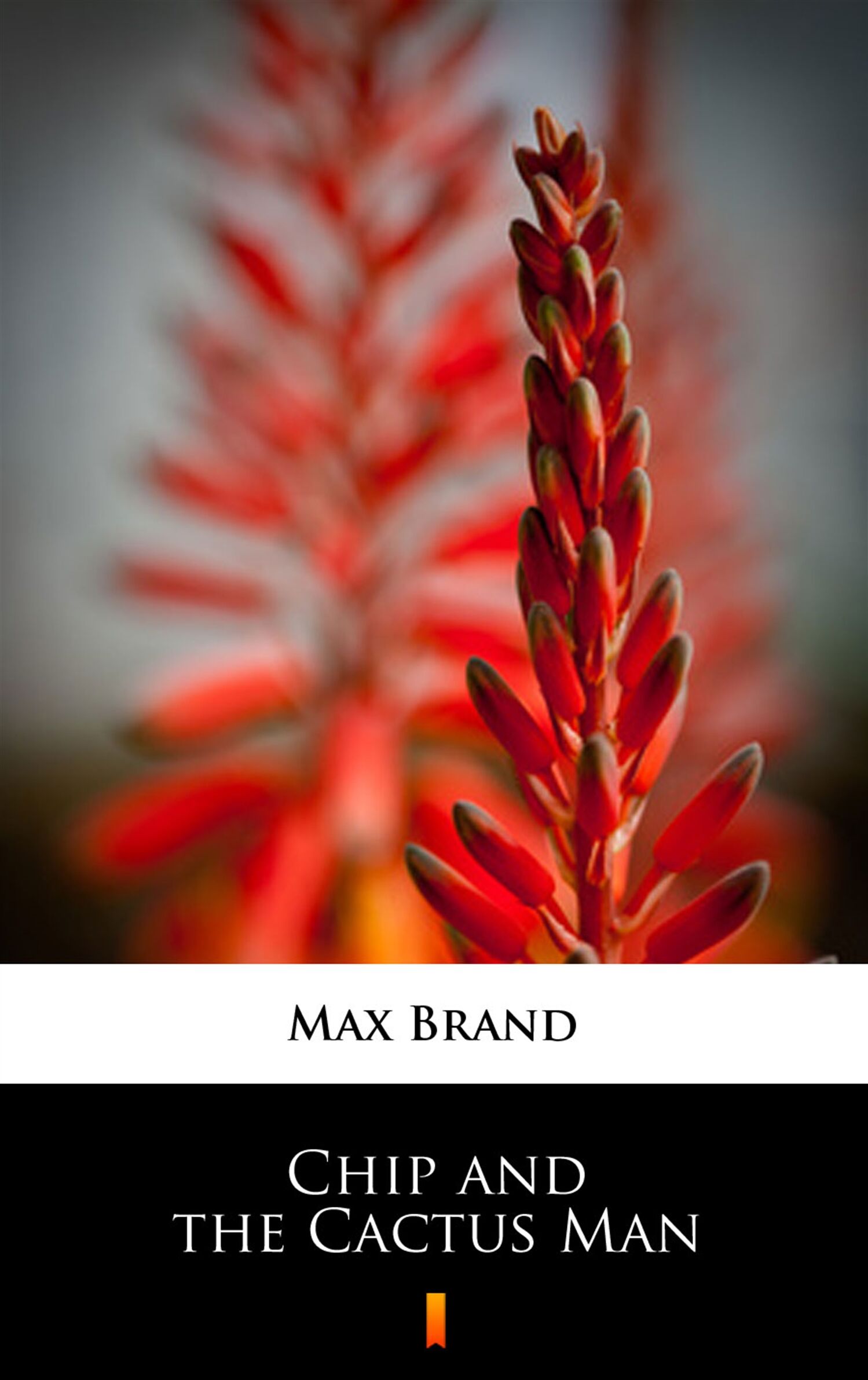 Chip and the Cactus Man (e-book)