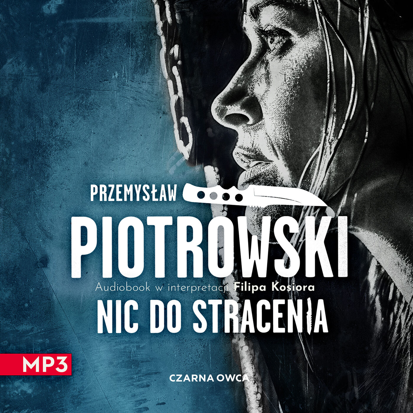 Nic do stracenia (audiobook MP3)