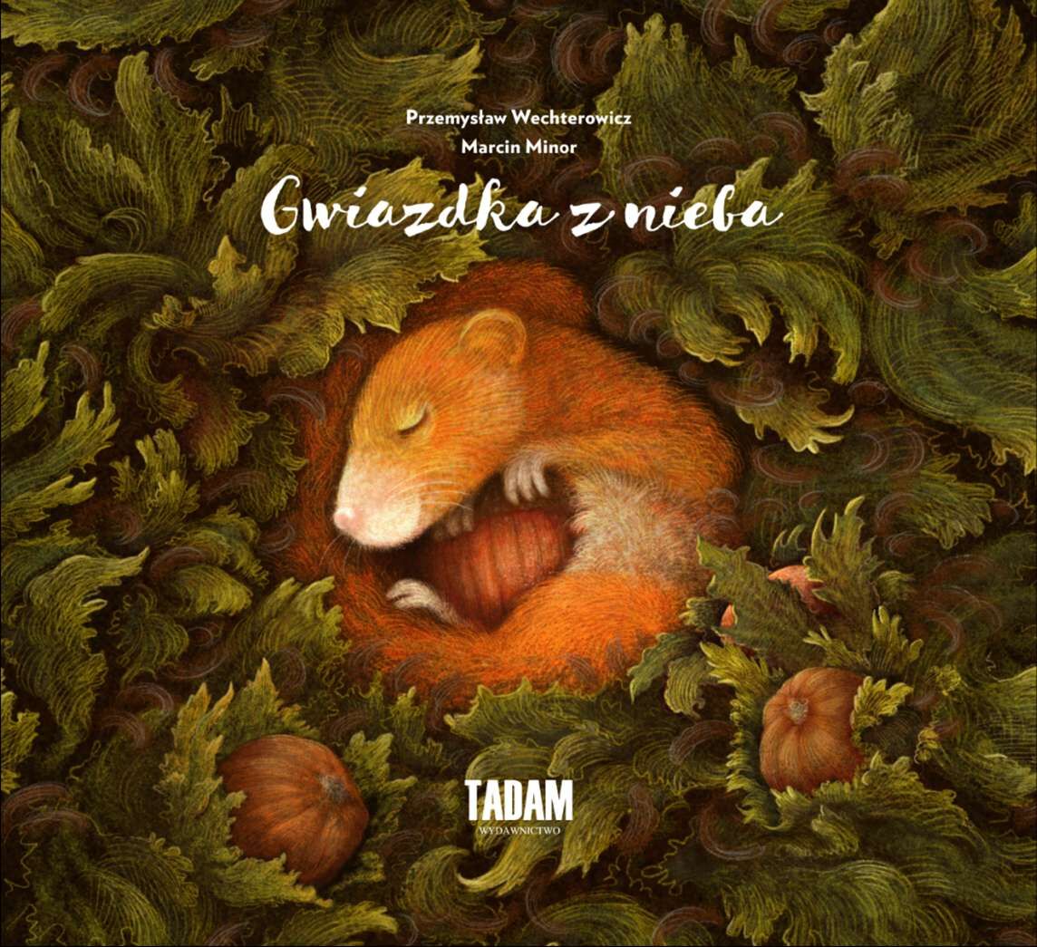 Gwiazdka z nieba