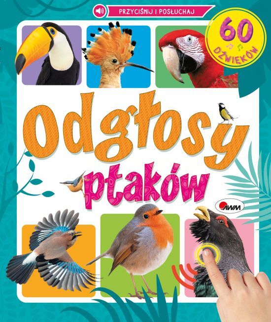 Odgłosy ptaków. 60 dźwięków