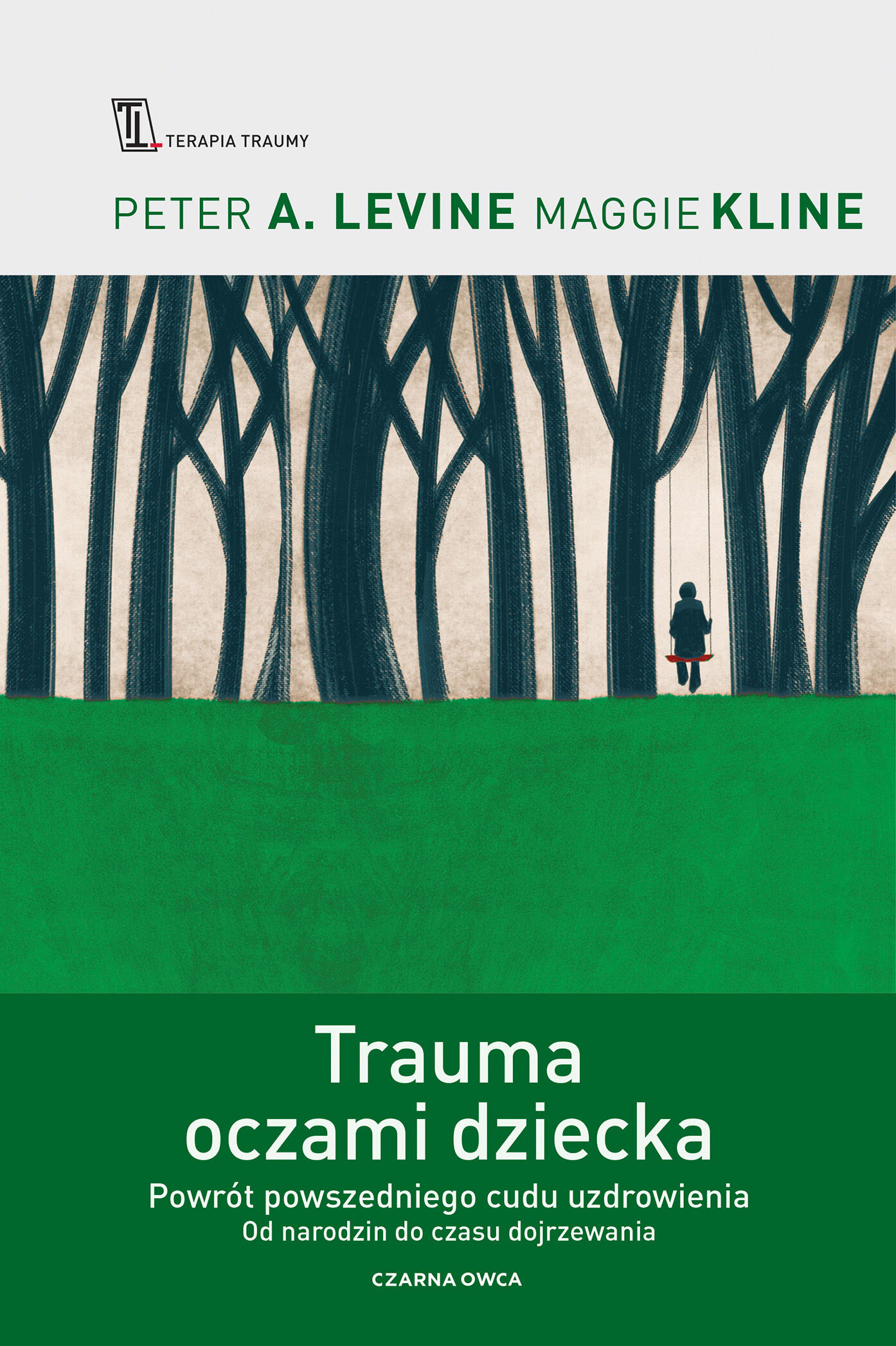 Trauma oczami dziecka (e-book)