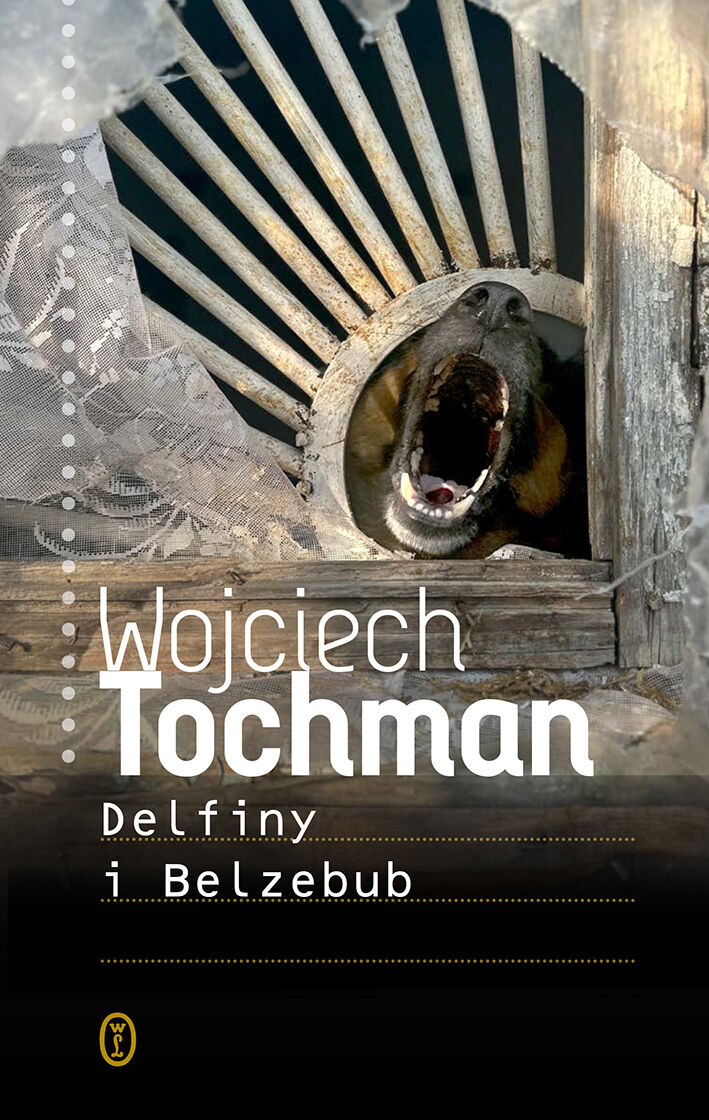Delfiny i Belzebub (e-book)