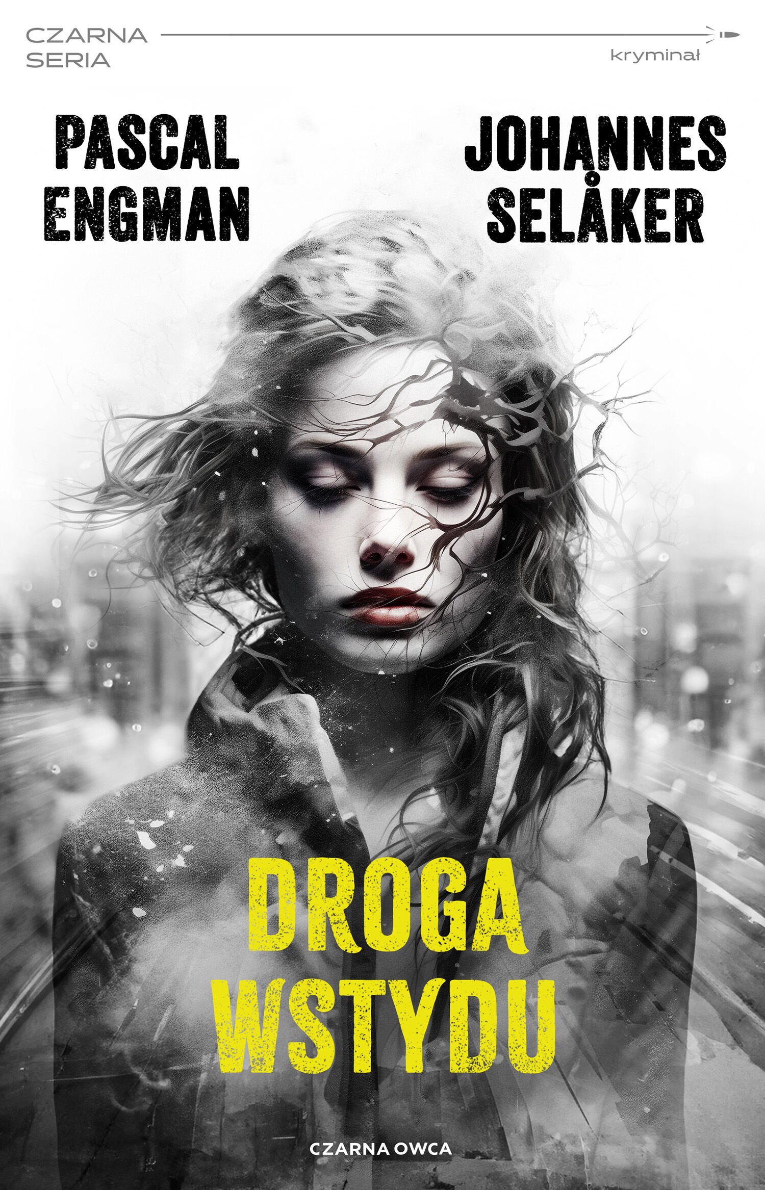 Droga wstydu (e-book)