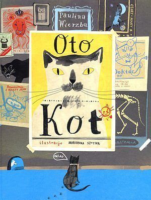 Oto kot