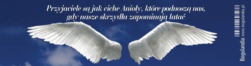 Zakładka 12 do książki - Przyjaciele są jak ciche Anioły