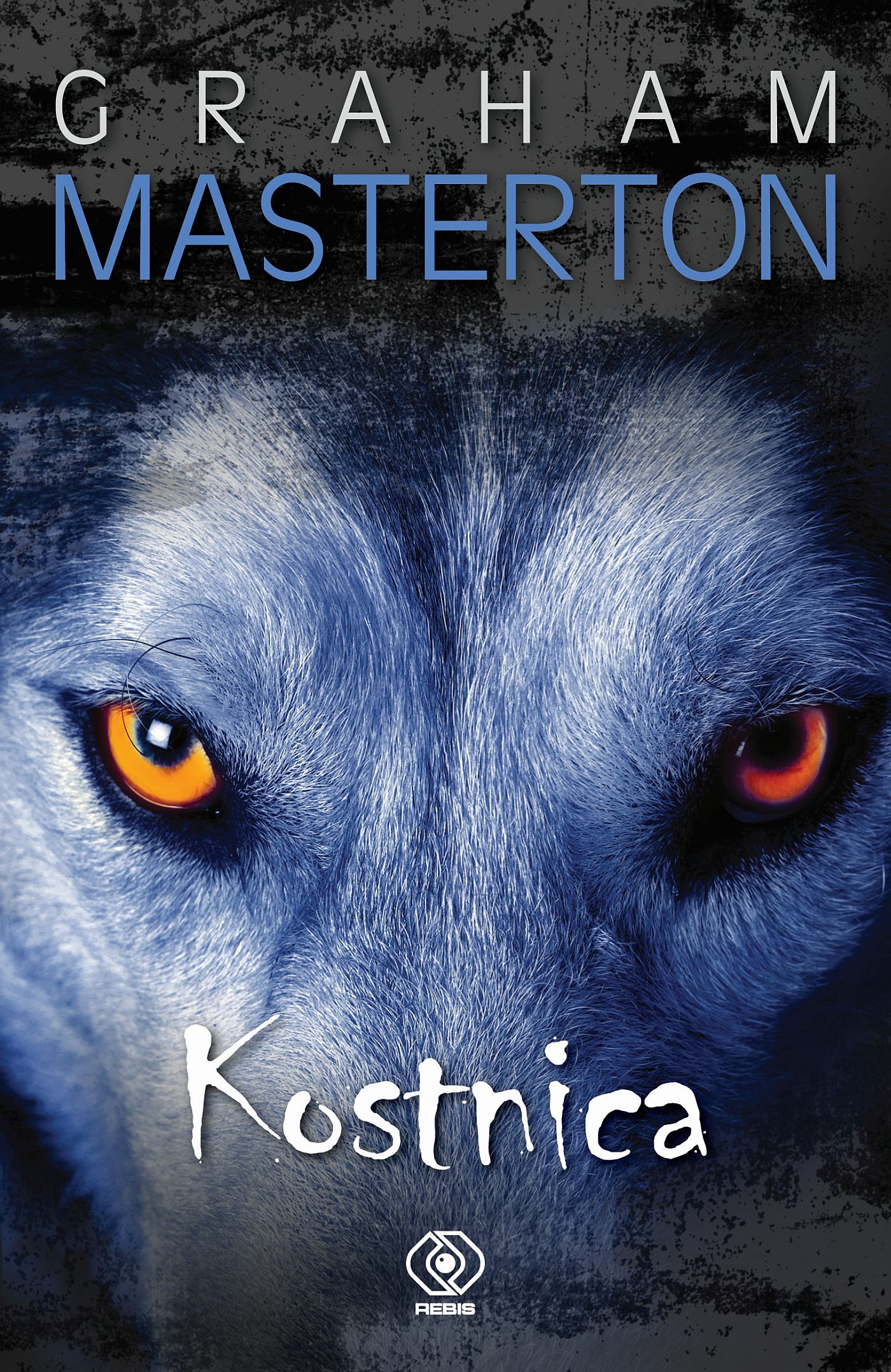 Kostnica (e-book)