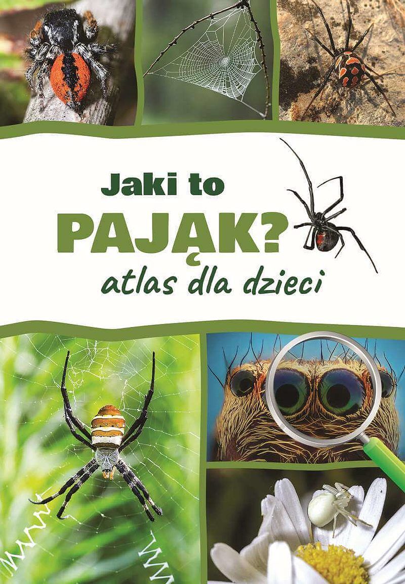 Jaki to pająk? atlas dla dzieci