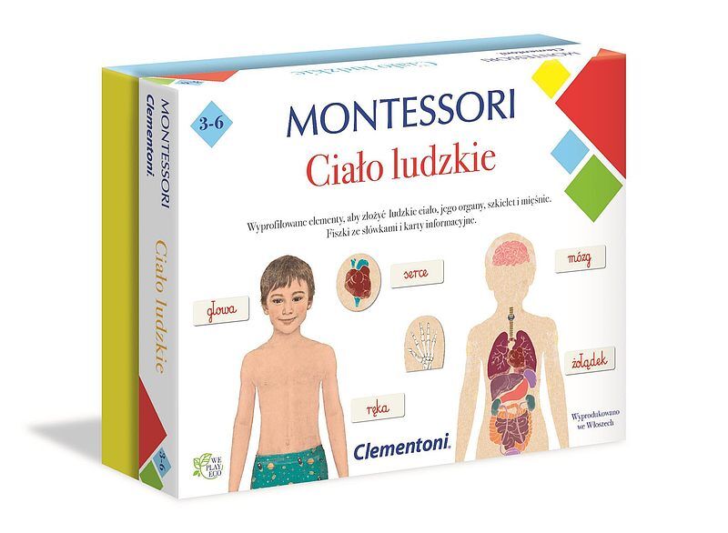 Montessori ciało ludzkie 50095