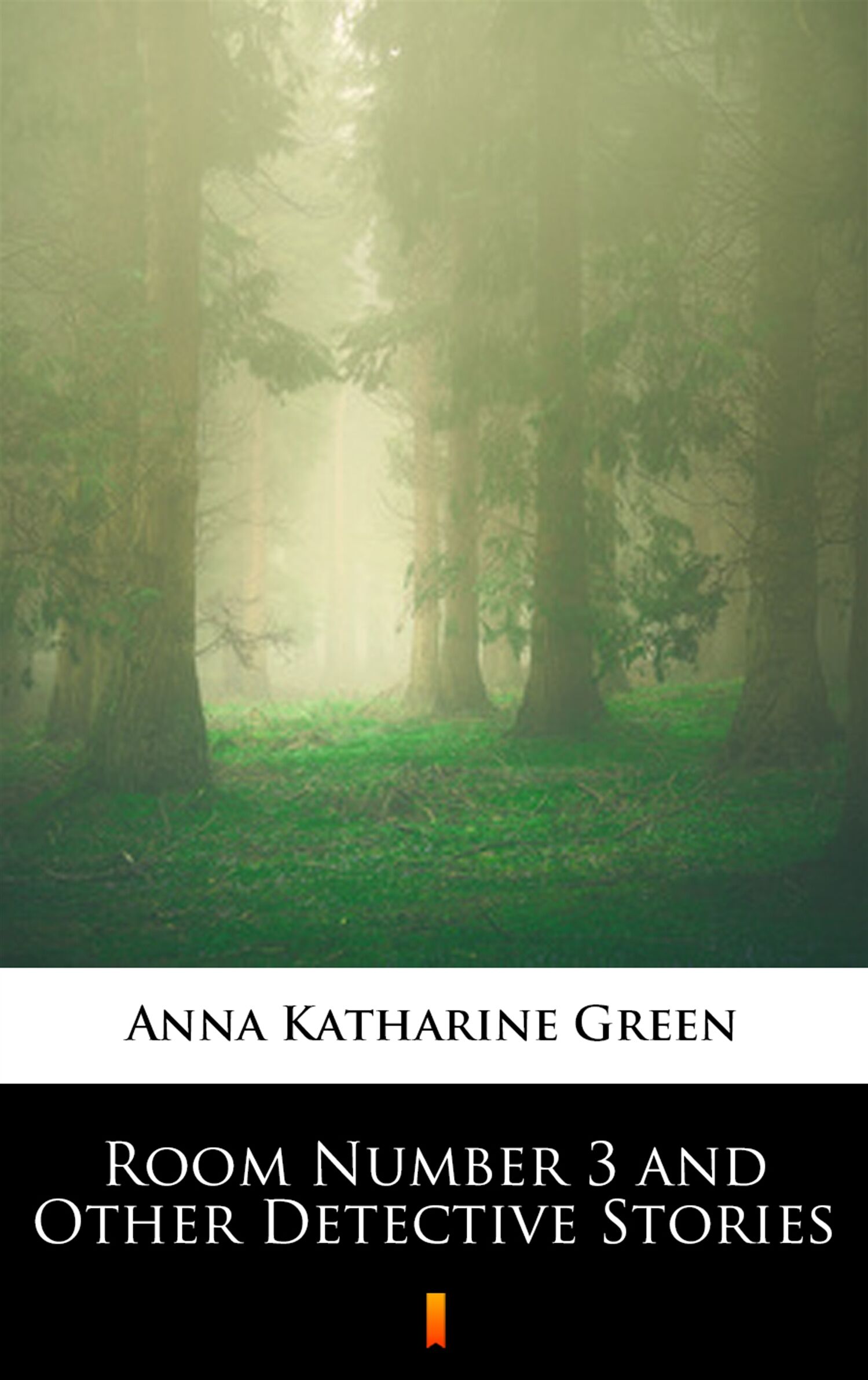 Room Number 3 and Other Detective Stories (e-book)