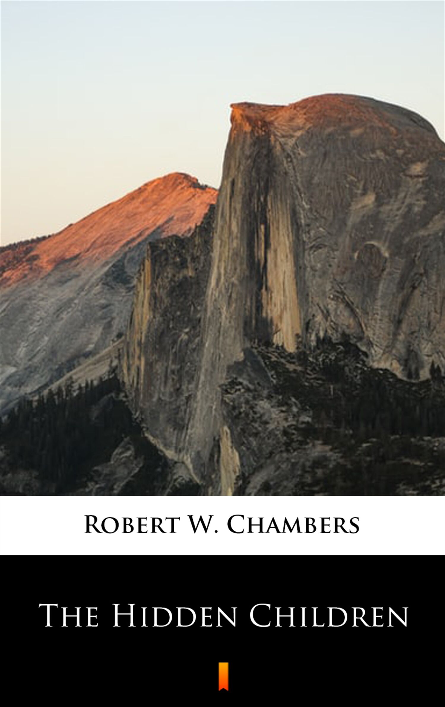The Hidden Children (e-book)