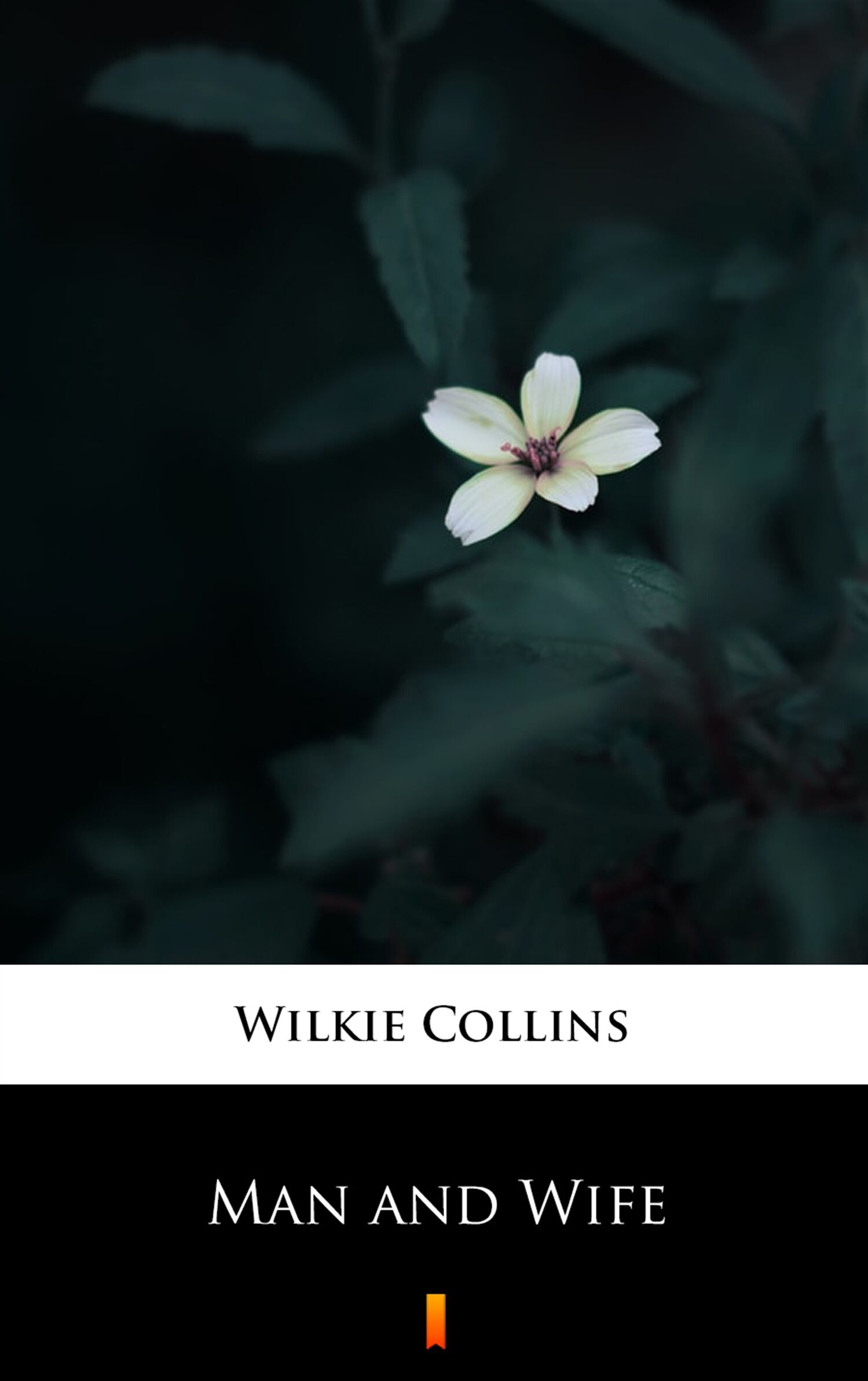 Man and Wife (e-book)