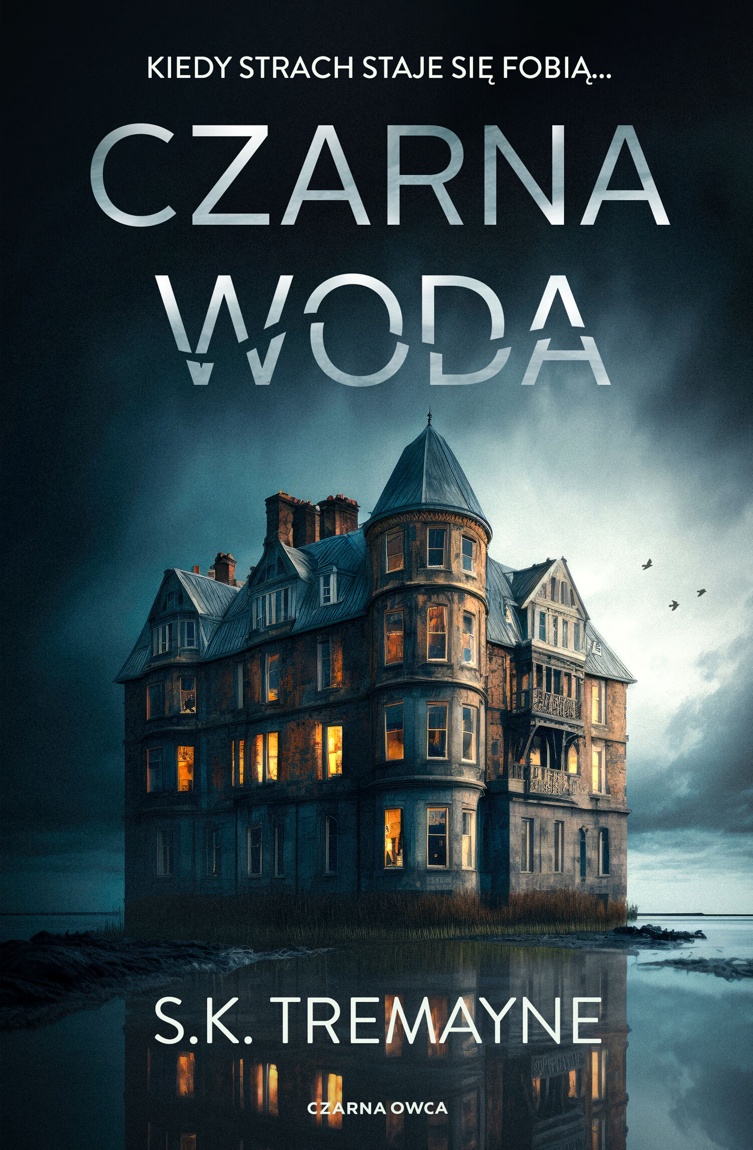 Czarna woda (e-book)