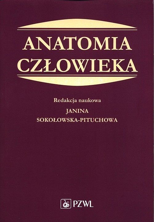 Anatomia człowieka