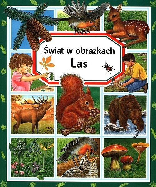 Świat w obrazkach. Las